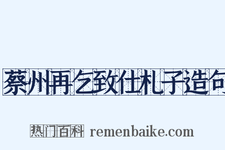蔡州再乞致仕札子造句是什么意思的图片